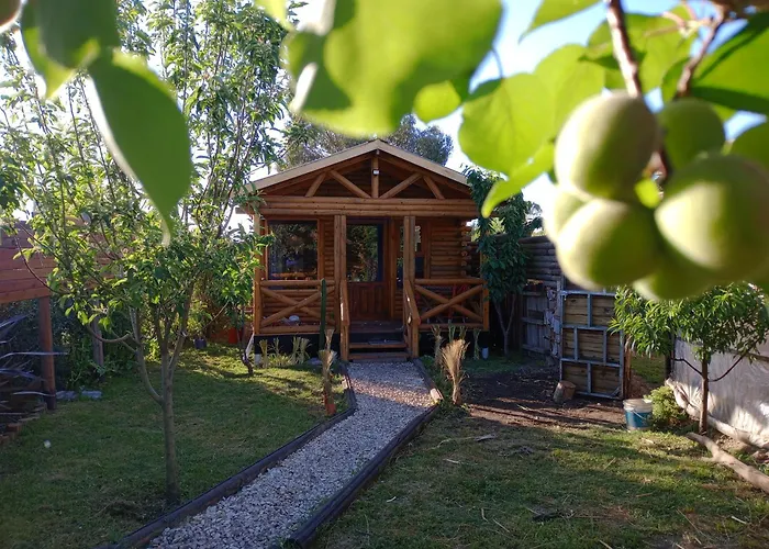 Foresta Acantilados, Casa Container Y Cabana De Troncos