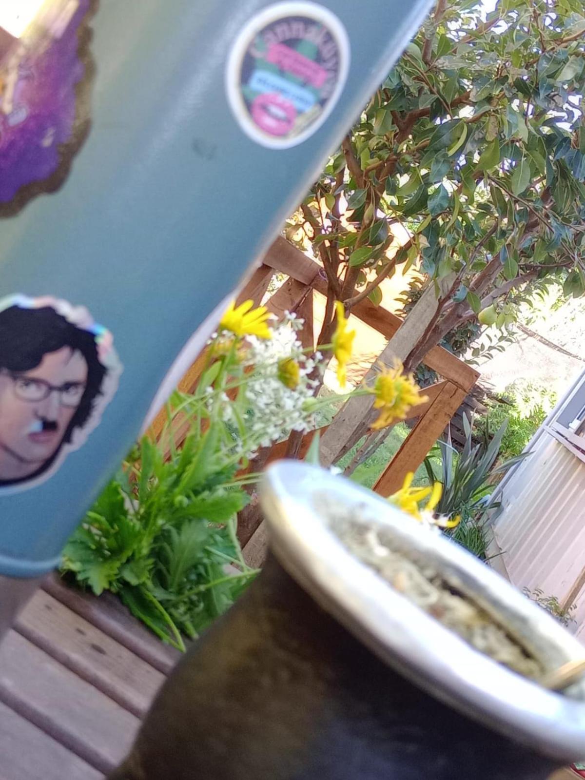 Foresta Acantilados, Casa Container Y De Troncos * Mar del Plata