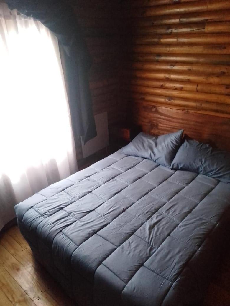 Foresta Acantilados, Casa Container Y De Troncos *