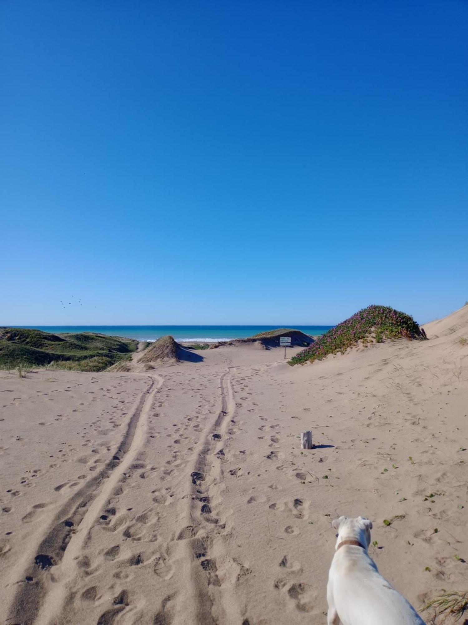 Сasa de vacaciones Foresta Acantilados, Casa Container Y De Troncos *