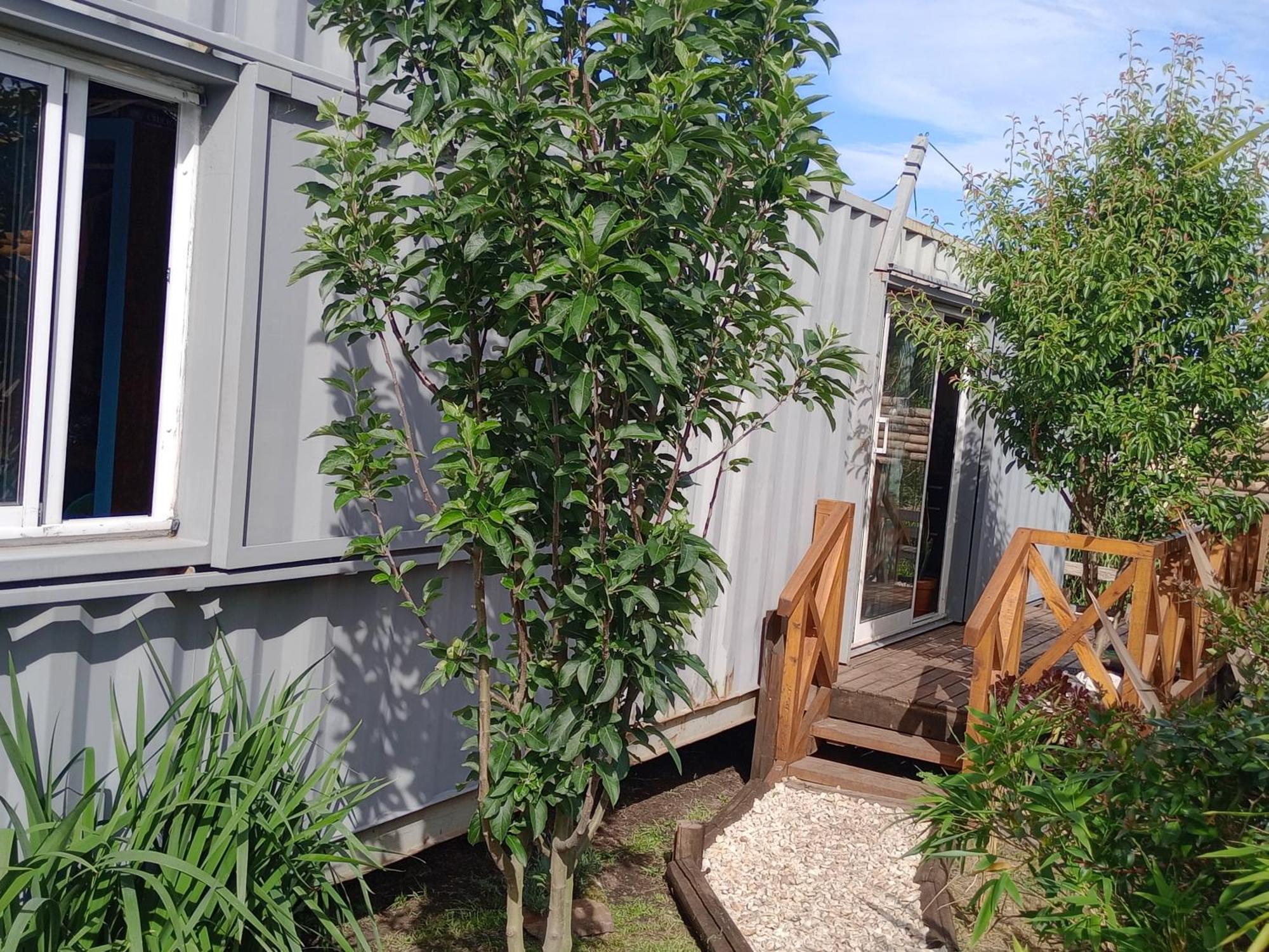 Foresta Acantilados, Casa Container Y De Troncos *